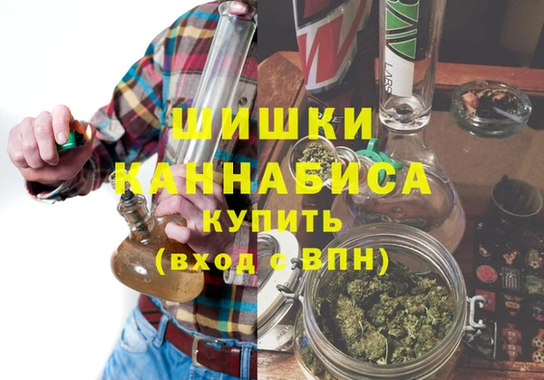ПСИЛОЦИБИНОВЫЕ ГРИБЫ Карталы