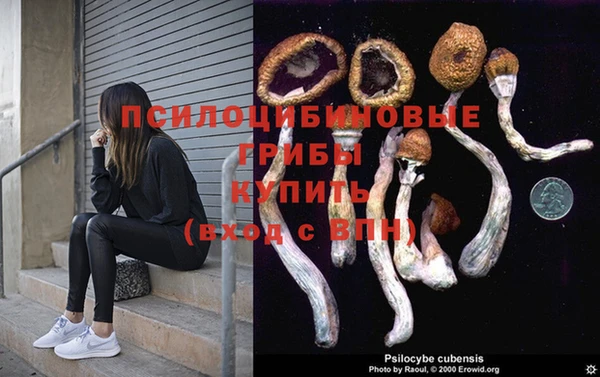 apvp Козельск