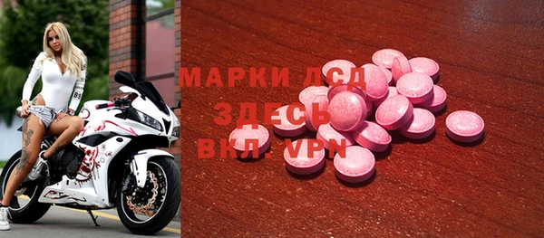 индика Покачи