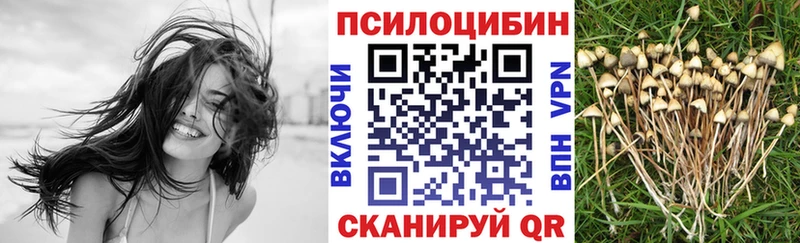 где продают   сайты даркнета формула  Галлюциногенные грибы MAGIC MUSHROOMS  Куровское 
